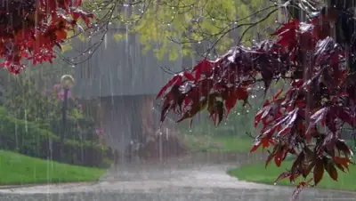 открытые источники, фото - Новости Zakon.kz от 22.06.2020 06:03