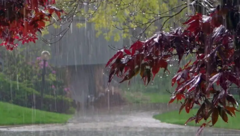 22 июня казахстанцев ожидают дожди с грозами, местами возможен град