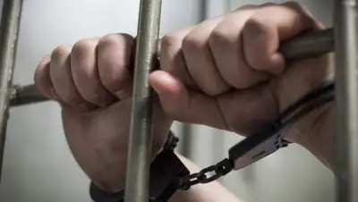 Елены Синеок, Юга.ру, фото - Новости Zakon.kz от 14.10.2019 17:35