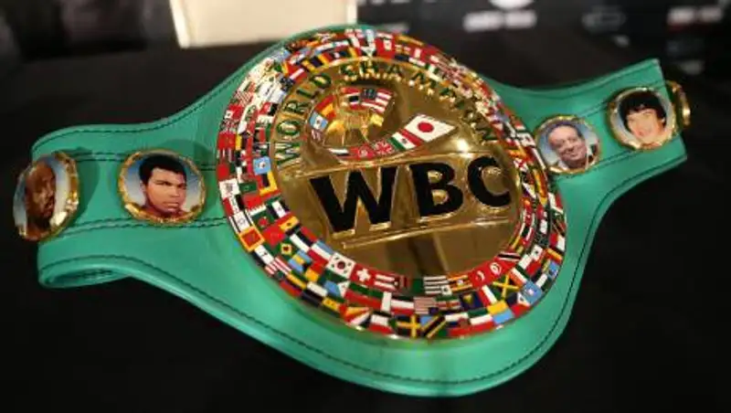 WBC назвал лучших бойцов 2020 года