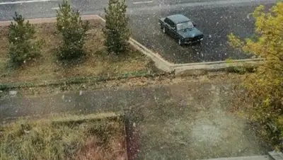 Zakon.kz, фото - Новости Zakon.kz от 23.09.2017 13:02