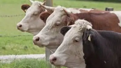 Zakon.kz, фото - Новости Zakon.kz от 10.06.2015 13:23