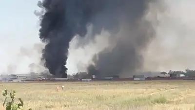 очевидцев, фото - Новости Zakon.kz от 13.07.2019 14:43