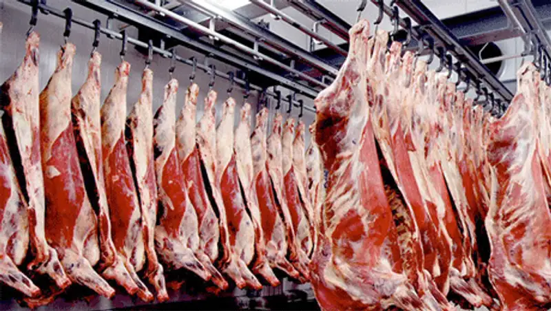 Реалии и перспективы мясной отрасли в Казахстане