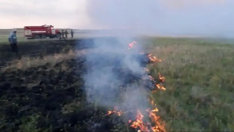 Ақтөбеде дала өрті үш есеге көбейді