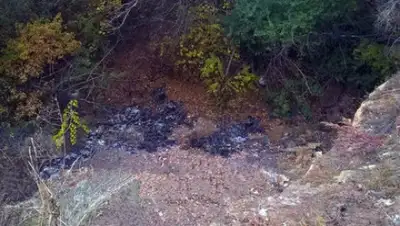 пресс-служба ОНФ, фото - Новости Zakon.kz от 06.03.2019 08:47