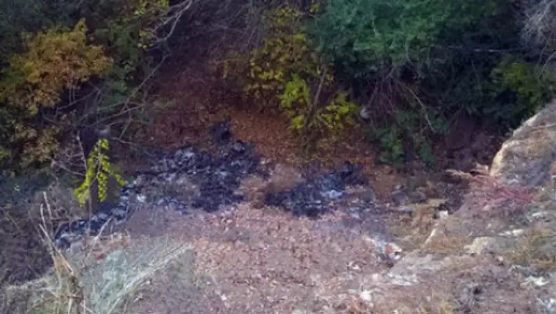 Российские чиновники снова убрали мусор фотошопом