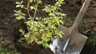 Zakon.kz, фото - Новости Zakon.kz от 01.04.2016 19:29