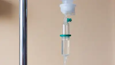 pixabay.com, фото - Новости Zakon.kz от 22.11.2019 19:43