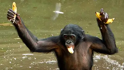 Zakon.kz, фото - Новости Zakon.kz от 02.06.2015 18:24