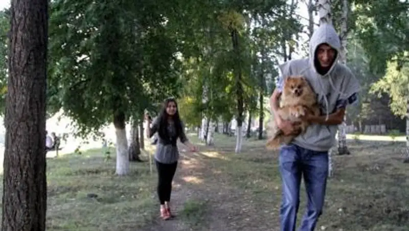 В Усть-Каменогорске, возможно, орудует банда похитителей собак