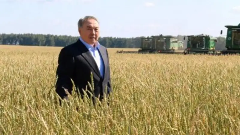 Северо-Казахстанская область традиционно специализируется в аграрной сфере - Назарбаев