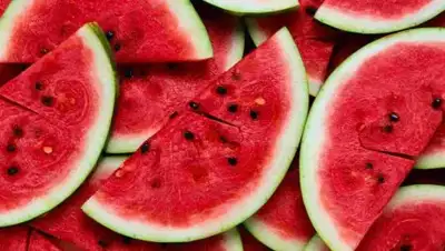 Zakon.kz, фото - Новости Zakon.kz от 05.07.2017 19:52