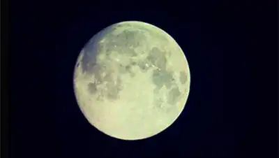 Zakon.kz, фото - Новости Zakon.kz от 08.09.2014 20:14