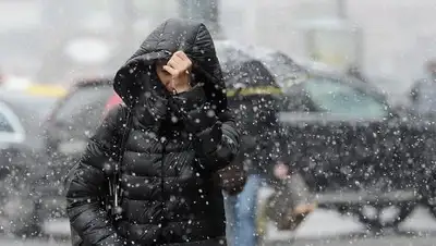 Zakon.kz, фото - Новости Zakon.kz от 22.11.2017 12:38