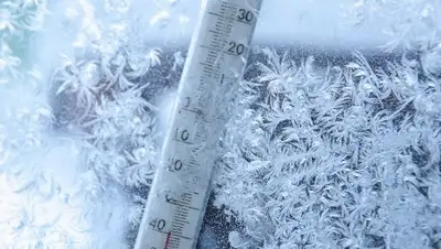 Zakon.kz, фото - Новости Zakon.kz от 18.02.2017 14:00