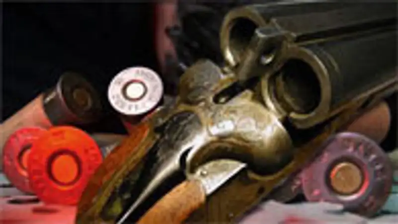 Парламент РК принял закон, ужесточающий ответственность за браконьерство и незаконную вырубку леса