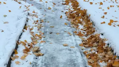 На востоке Казахстана синоптики прогнозируют сильный снег, фото - Новости Zakon.kz от 02.11.2023 15:25