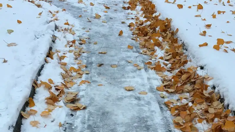На востоке Казахстана синоптики прогнозируют сильный снег