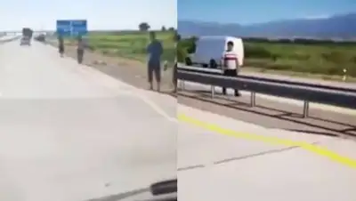 кадры из видео, фото - Новости Zakon.kz от 03.07.2021 12:00