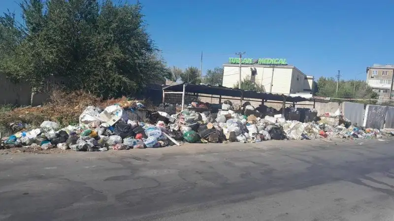 Тонут в мусоре: жители Шымкента жалуются на неприятный запах , фото - Новости Zakon.kz от 18.08.2023 11:45