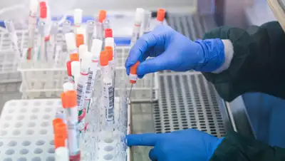 Globallook, фото - Новости Zakon.kz от 30.03.2020 07:19