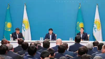 Nur Otan, фото - Новости Zakon.kz от 24.11.2019 18:47