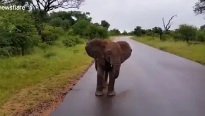 Zakon.kz, фото - Новости Zakon.kz от 04.11.2017 16:45