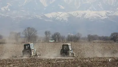 сельское хозяйство, поле, фото - Новости Zakon.kz от 25.02.2022 17:37