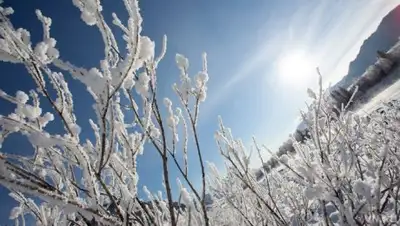 VN.ru, фото - Новости Zakon.kz от 16.11.2018 13:02