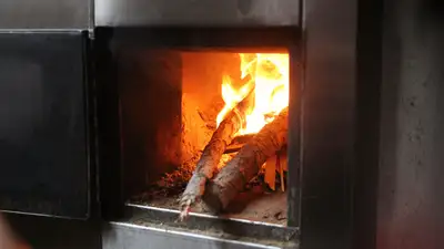 Дрова, угарный газ, фото - Новости Zakon.kz от 29.11.2021 22:47