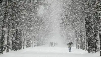 сезоны года, фото - Новости Zakon.kz от 06.02.2020 06:07