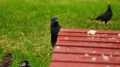 Zakon.kz, фото - Новости Zakon.kz от 02.10.2014 21:54