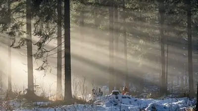 зима, фото - Новости Zakon.kz от 19.01.2023 20:05