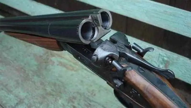 Костанаец заплатит штраф 1 МРП за то, что застрелил собаку