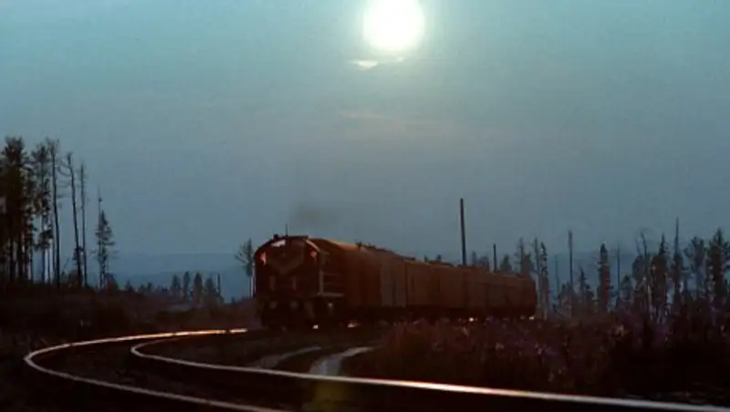 Неизвестный мужчина погиб, попав под поезд в Караганде