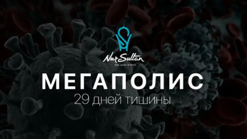 Мегаполис: 29 дней тишины