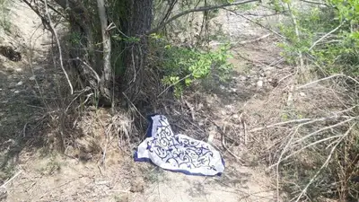 лес, платок, фото - Новости Zakon.kz от 16.05.2023 19:28