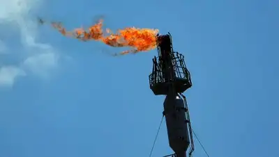 Zakon.kz, фото - Новости Zakon.kz от 01.03.2017 17:20