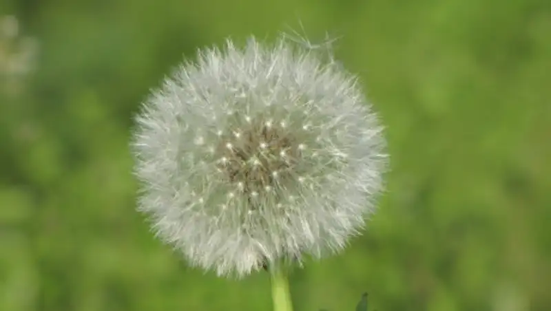 В Мангистауской и Костанайской областях объявлено штормовое предупреждение