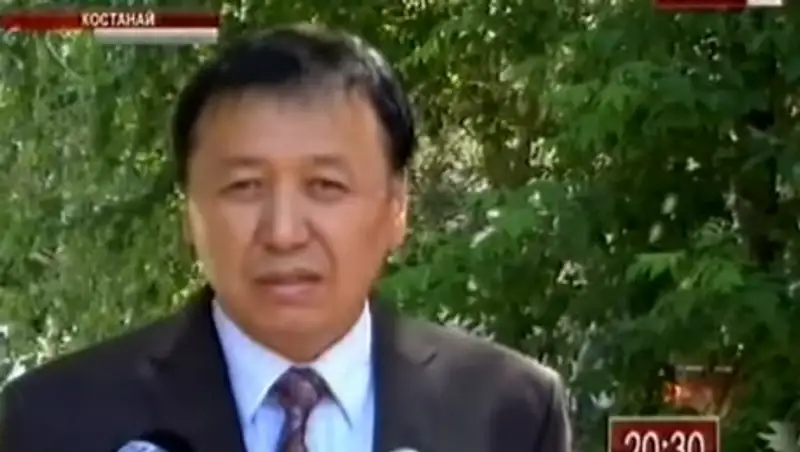 Падеж скота в Костанайской области произошел не из-за инфекции