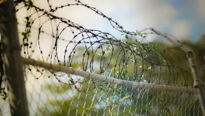 pixabay.com, фото - Новости Zakon.kz от 31.10.2019 18:15