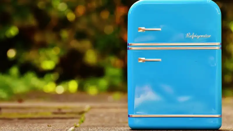 Полный холодильник отрезанных гениталий нашли в Аризоне