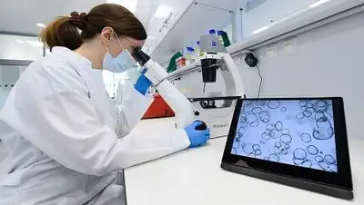 Global Look Press/dpa/Sebastian Kahnert, фото - Новости Zakon.kz от 21.10.2020 18:21