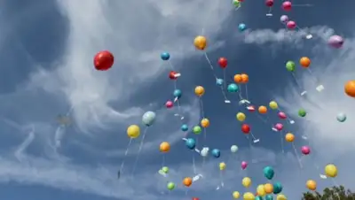 zakon.kz., фото - Новости Zakon.kz от 25.05.2020 06:03