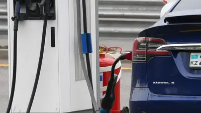 Сколько электромобилей завезли в Казахстан без уплаты пошлины, фото - Новости Zakon.kz от 10.11.2023 09:15
