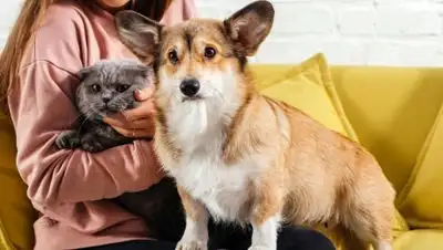 depositphotos.com, фото - Новости Zakon.kz от 17.01.2019 20:53