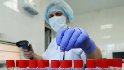 vsim.ua, фото - Новости Zakon.kz от 07.06.2020 22:32