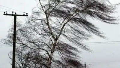 Униан, фото - Новости Zakon.kz от 21.05.2018 22:33