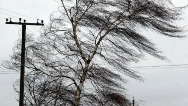 По Алматинской области прошел ураган